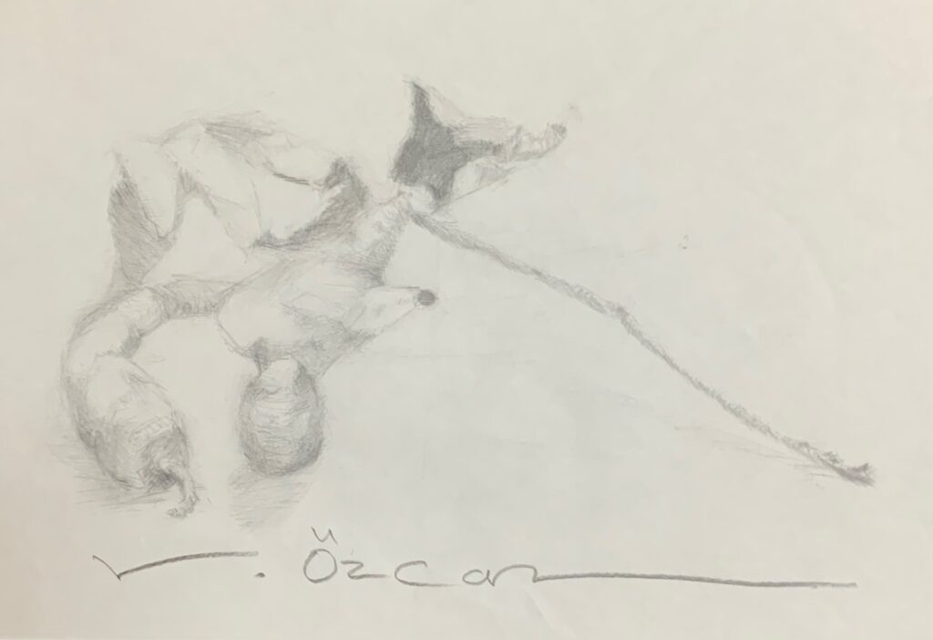 Vedat Özcan Kağit Karakalem 22x31 1