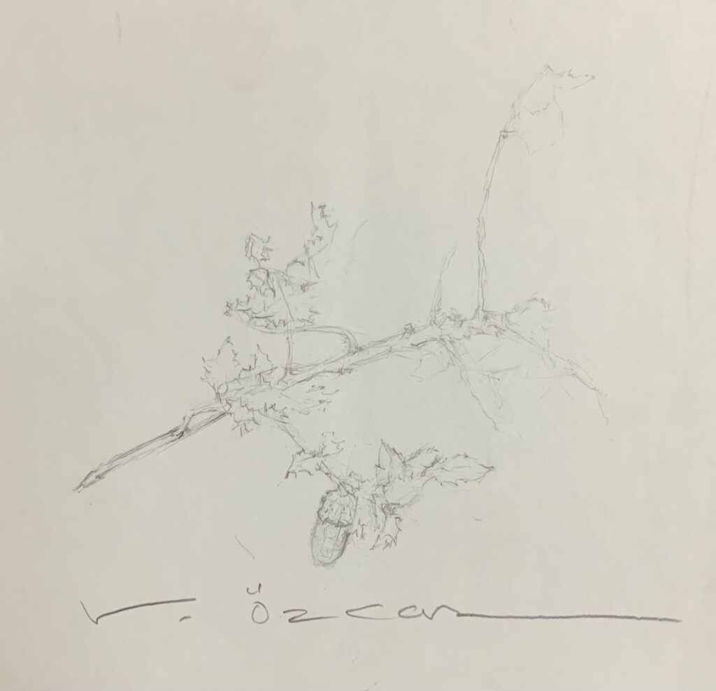 Vedat Özcan Kağit Karakalem 23x25 1