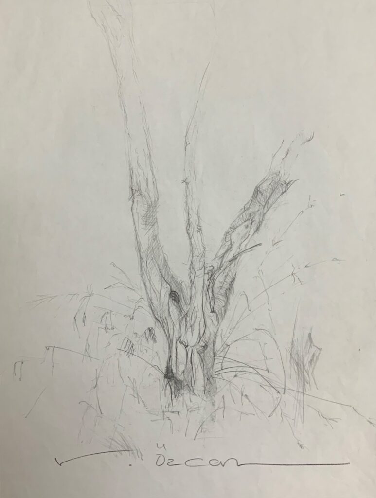 Vedat Özcan Kağit Karakalem 44x33 1