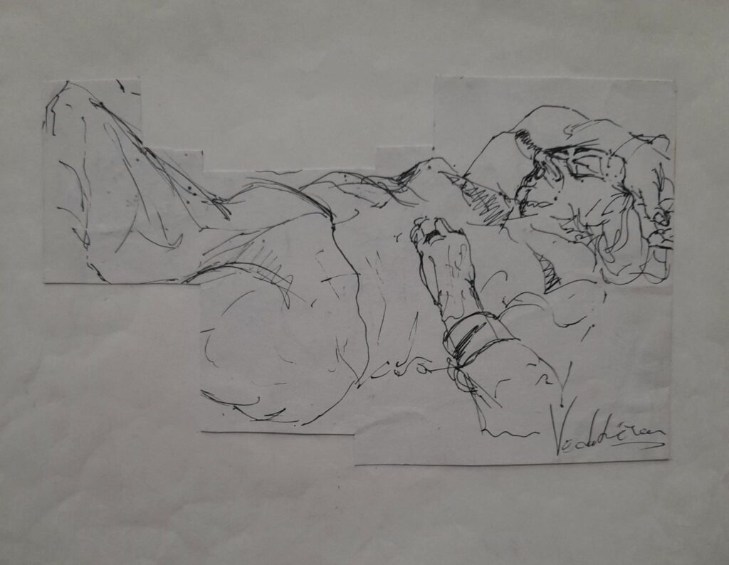 Vedat Özcan Kağit Pilot Kalem 23x30 1