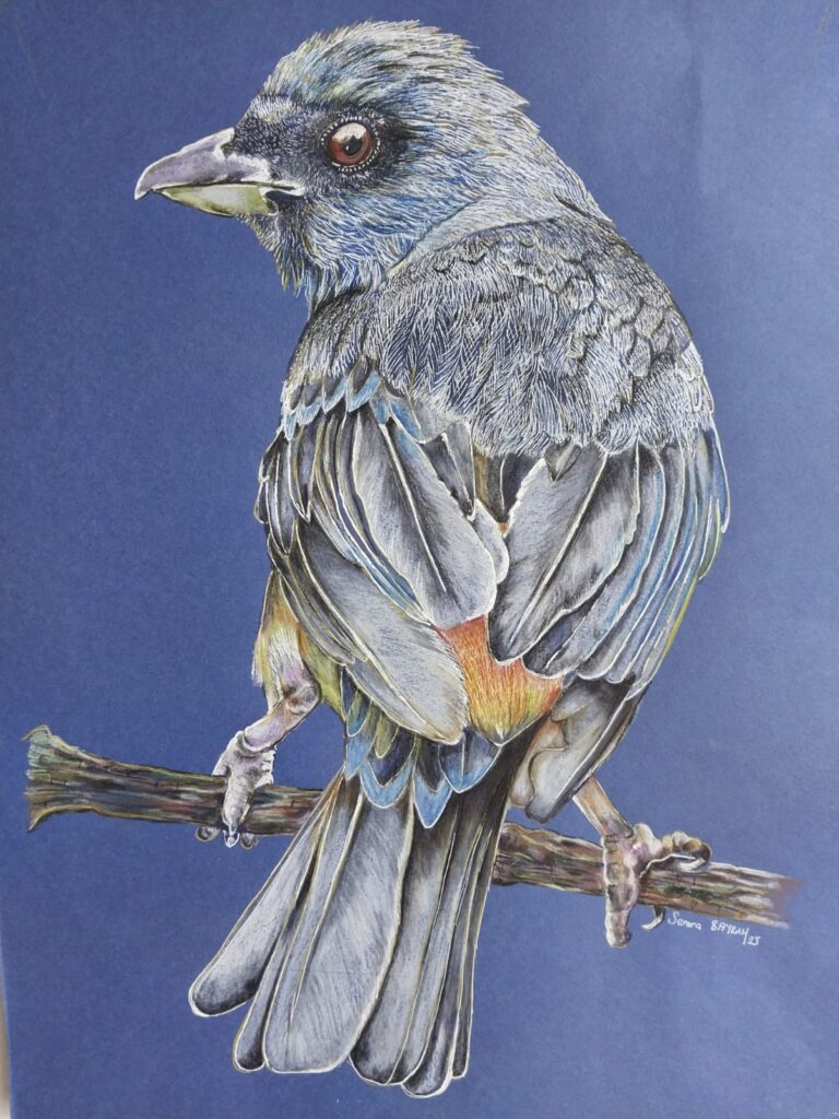 Semra Bayram Kağıt Kurukalem 30×40-1