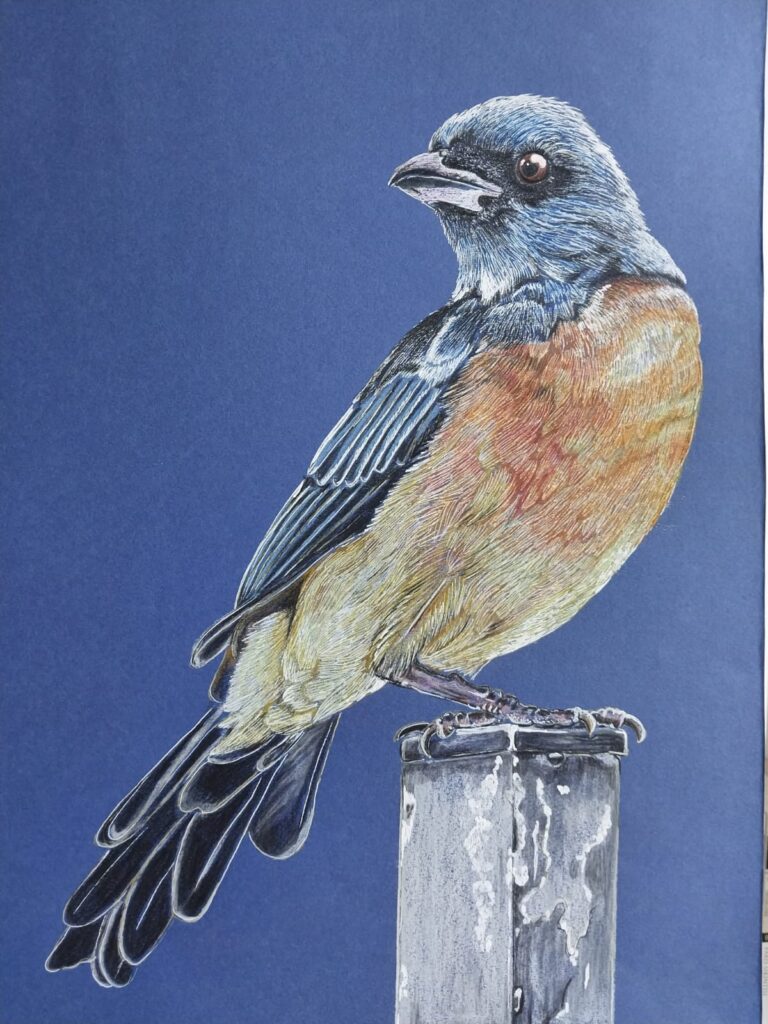 Semra Bayram Kağıt Kurukalem 30×40-2