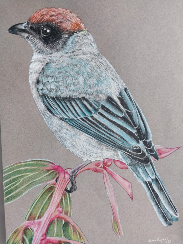 Semra Bayram Kağıt Kurukalem 30×40-3