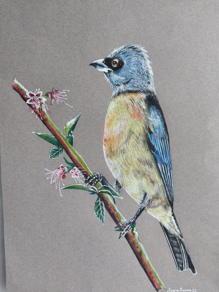 Semra Bayram Kağıt Kurukalem 30×40-6