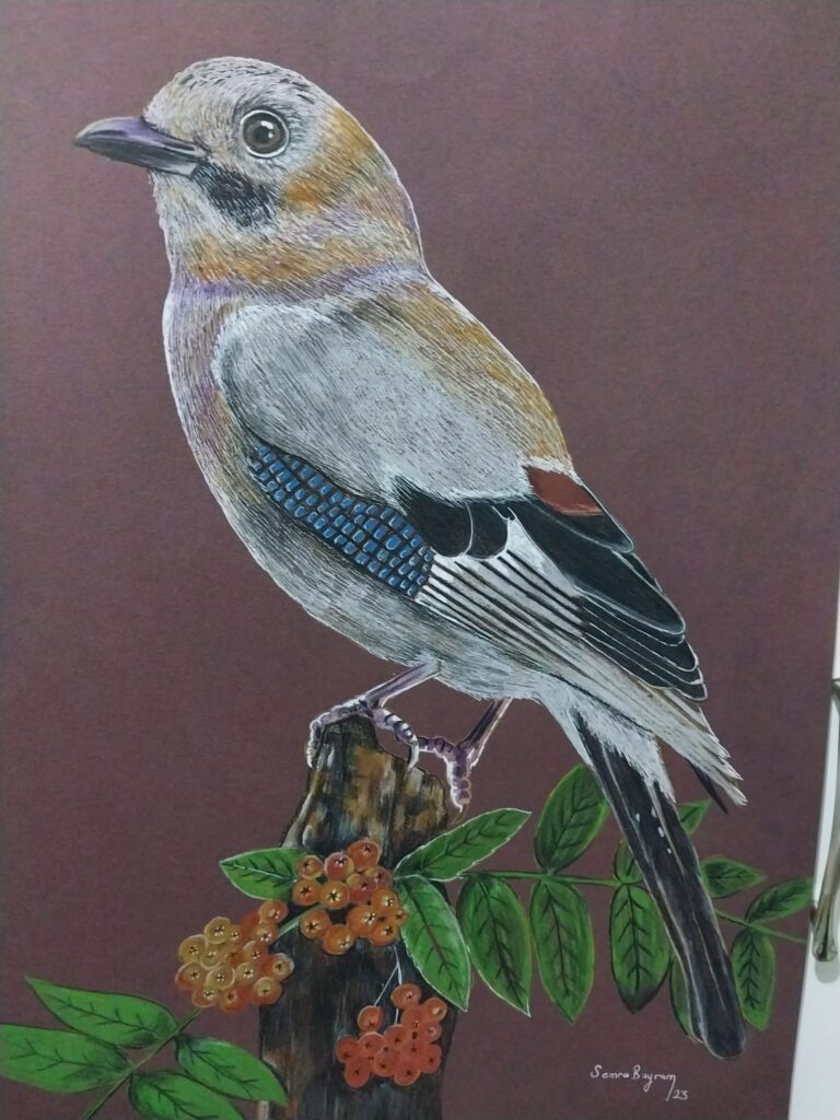 Semra Bayram Kağıt Kuruboya 35×50-12