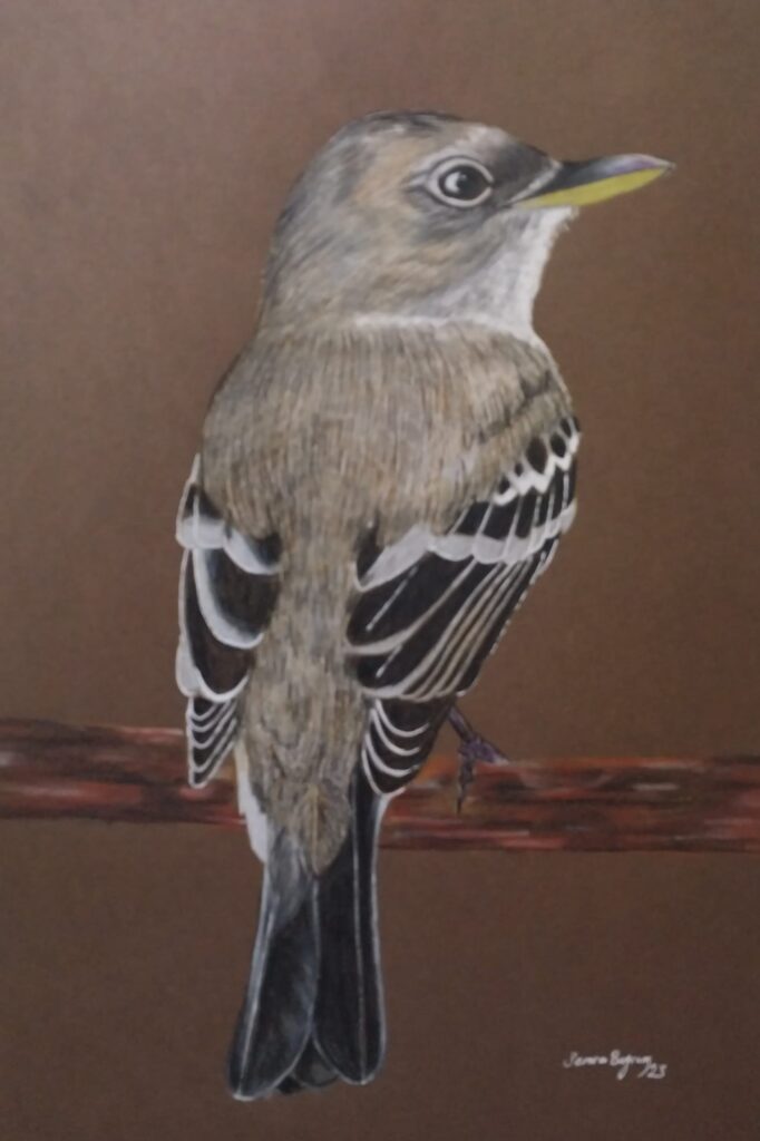 Semra Bayram Kağıt Kuruboya 35×50-16