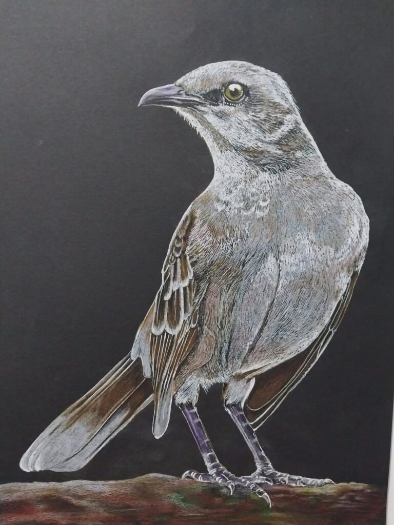 Semra Bayram Kağıt Kuruboya 35×50-2