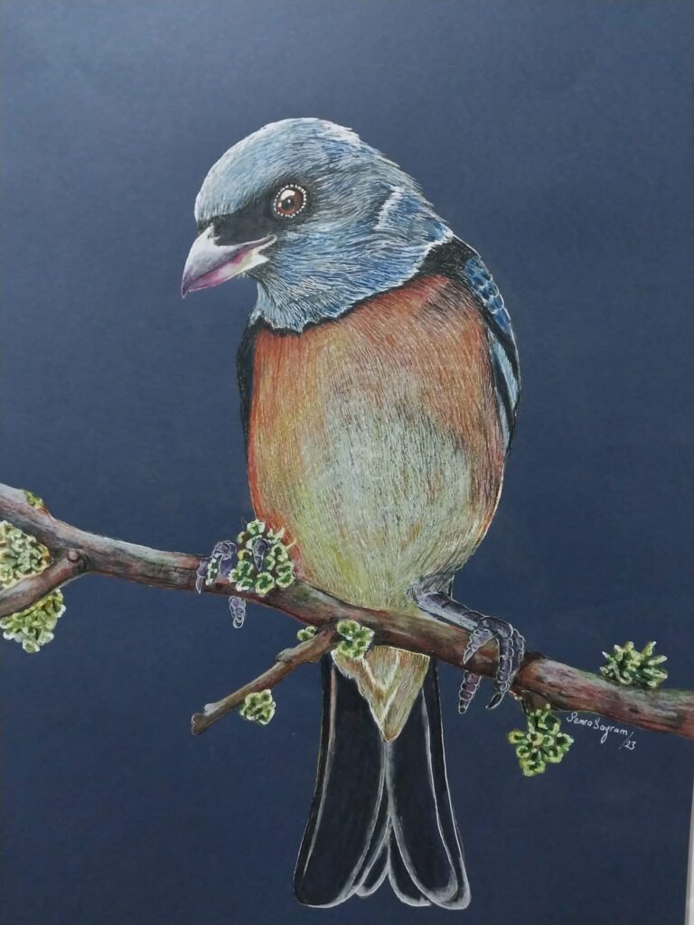 Semra Bayram Kağıt Kuruboya 35×50-5