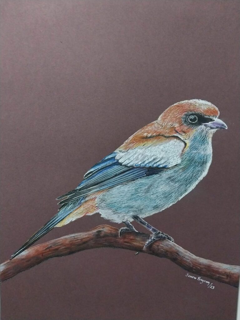 Semra Bayram Kağıt Kuruboya 35×50-6