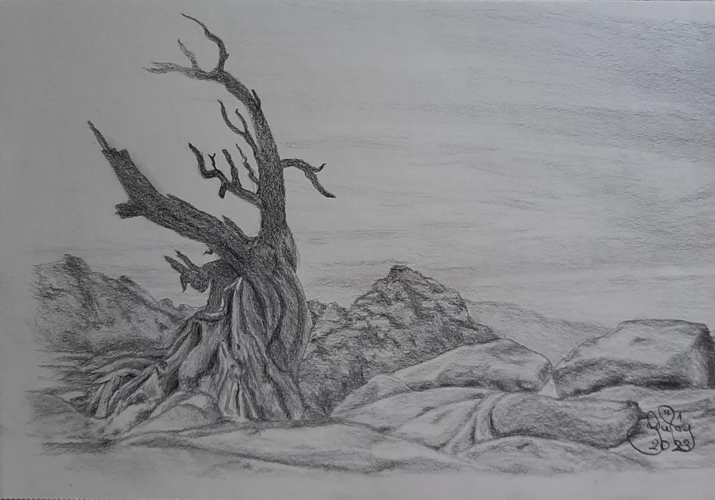 Gülay Nalcı Kağıt Desen 21×29 (1)