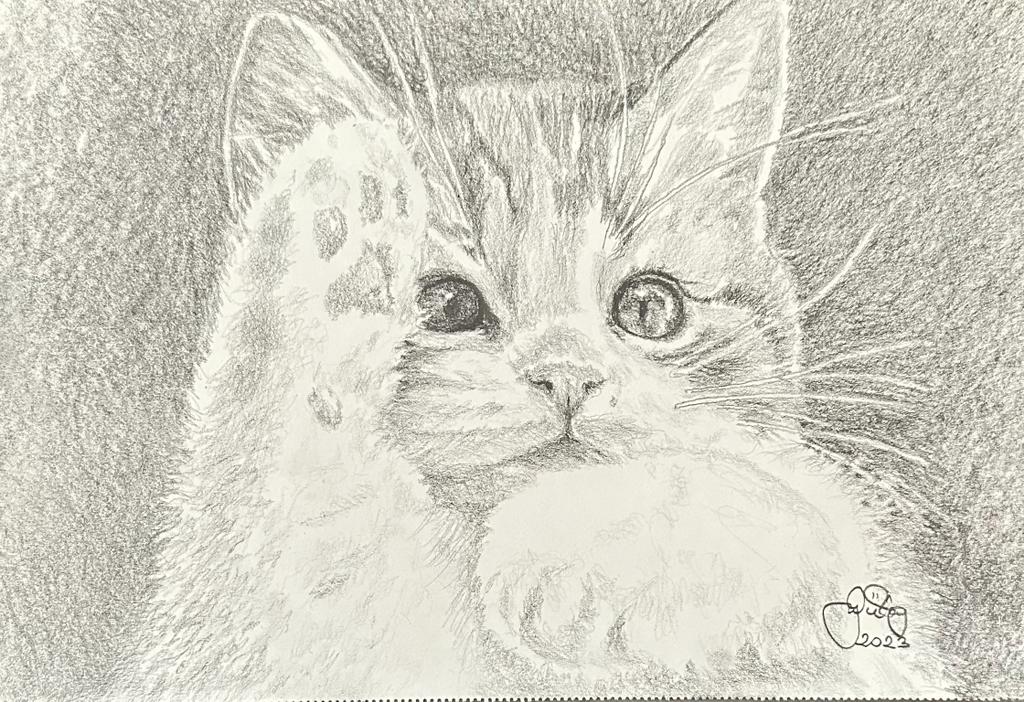 Gülay Nalcı Kağıt Desen 21×29 (17)