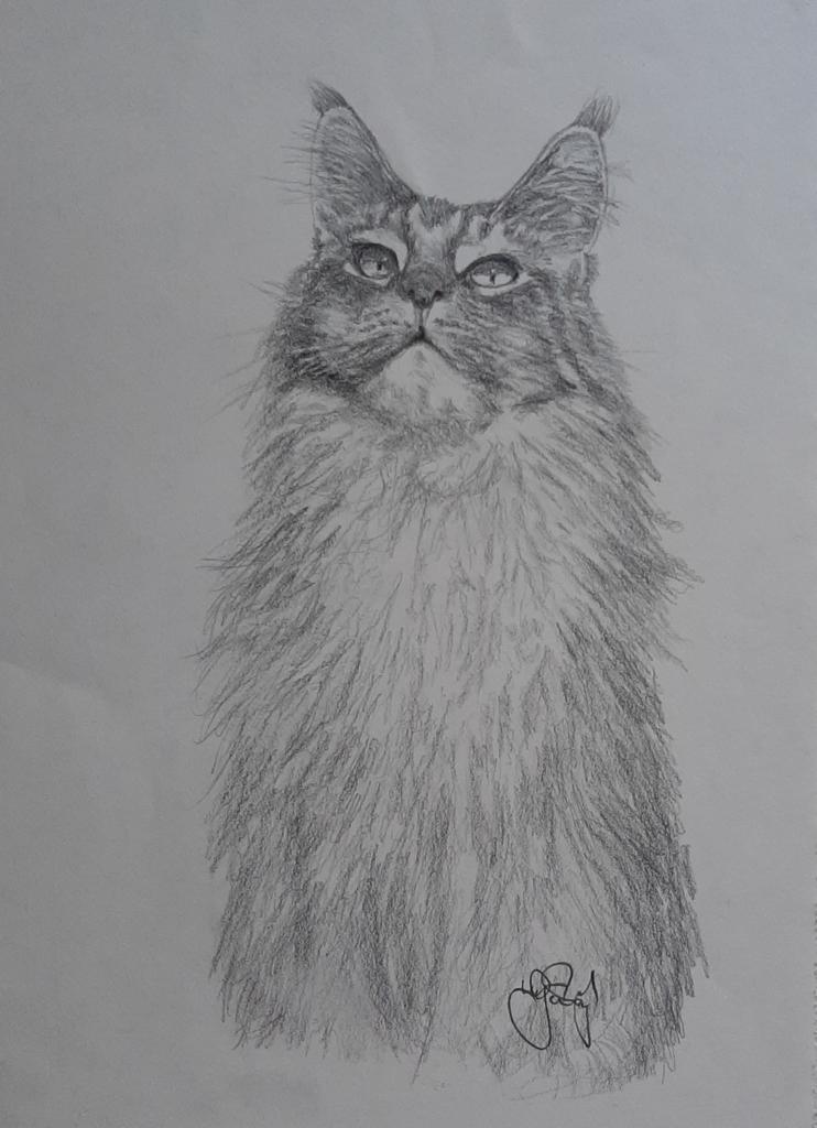 Gülay Nalcı Kağıt Desen 21×29 (2)