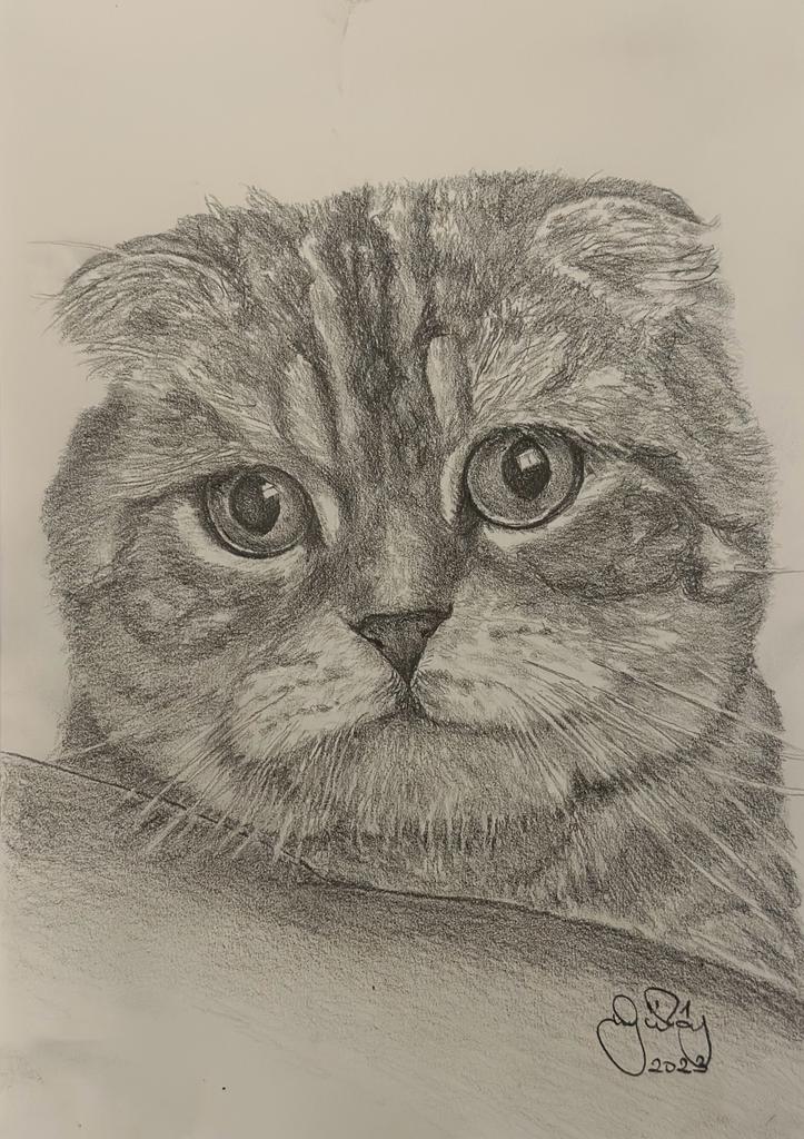 Gülay Nalcı Kağıt Desen 21×29 (23)
