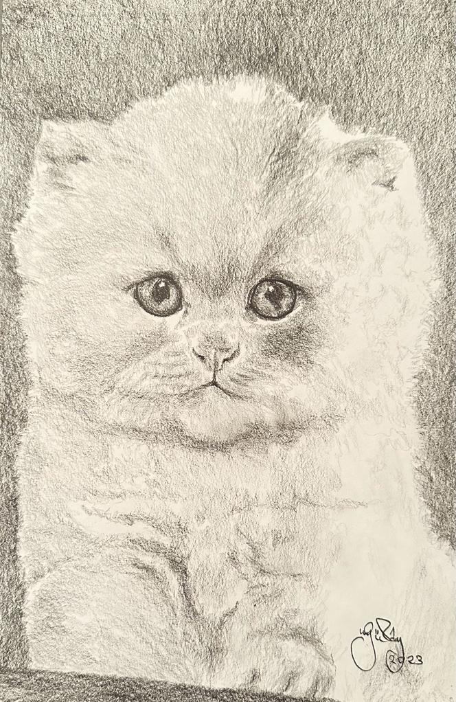 Gülay Nalcı Kağıt Desen 21×29 (29)
