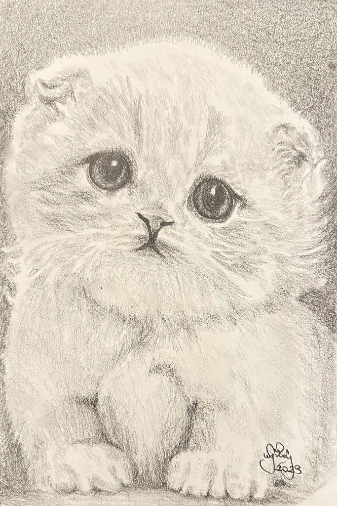 Gülay Nalcı Kağıt Desen 21×29 (30)