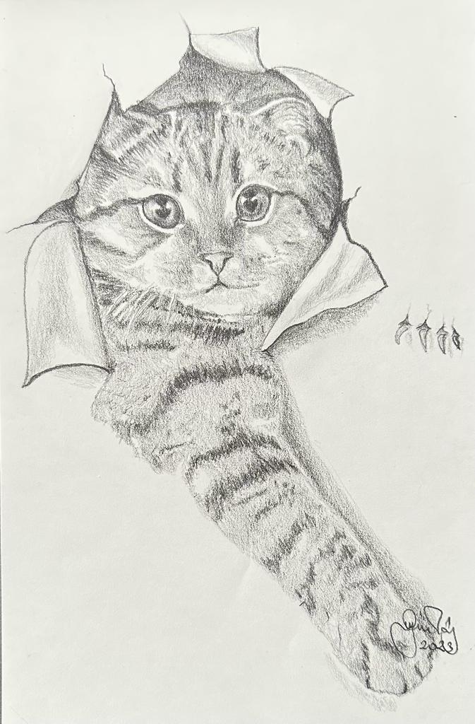 Gülay Nalcı Kağıt Desen 21×29 (32)