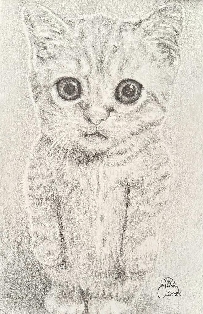 Gülay Nalcı Kağıt Desen 21×29 (33)