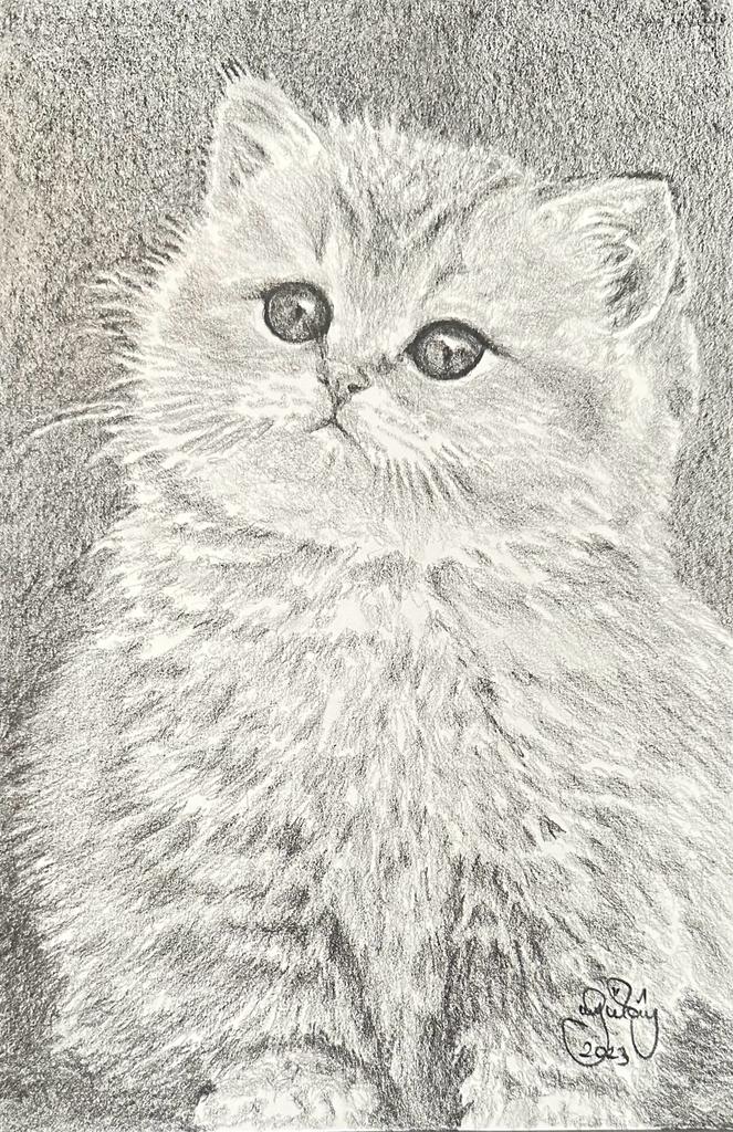 Gülay Nalcı Kağıt Desen 21×29 (34)