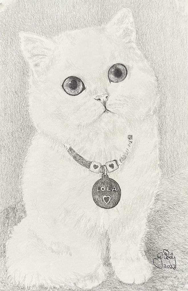 Gülay Nalcı Kağıt Desen 21×29 (35)