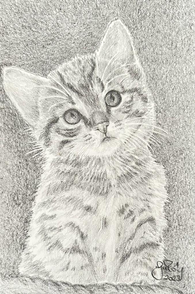 Gülay Nalcı Kağıt Desen 21×29 (37)