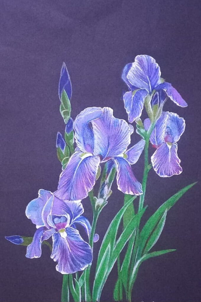 Semra Bayram Kağıt Kuruboya 35×50 (5)