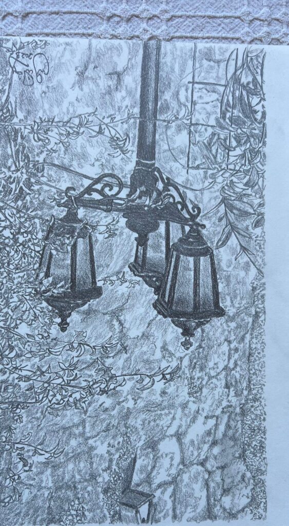 Gülay Nalçı Kağıt Karakalem 21×29-2