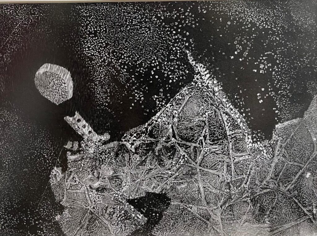 Hülya Küpçüoğlu Kağıt Monopoint 28×20 (1)