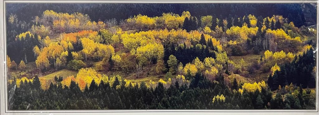 Mete Yurda ün Fotoğraf 10×28